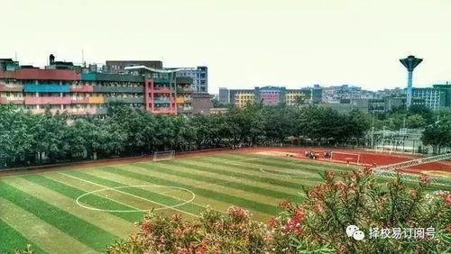 专科院校介绍34 广东岭南职业技术学院,明德 笃学 砺能 自强