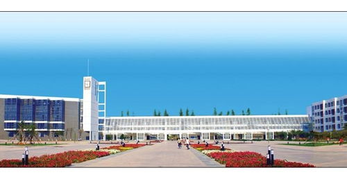 日照职业技术学院专业