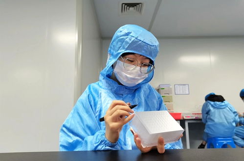 我进职校读本科
