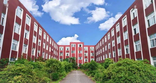 叮咚 您有新的开学 订单 ,请注意查收
