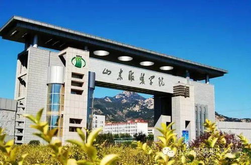 招生季 山东服装职业学院 等你来 招生计划5100人 招生专业30个