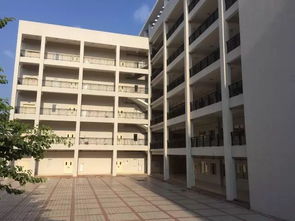 公办广东食品药品职业学院2019年3+证书招生计划